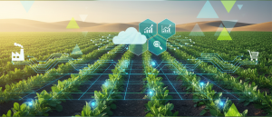 A Complete Digital Transformation for a Leading Saudi Arabia–based Agribusiness Organization